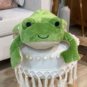 KiwiCo education plush frog